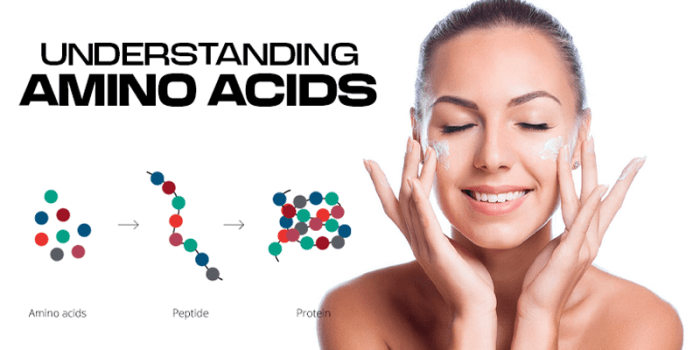 Skincare Superstars – Understanding Amino Acids – Snobby Face Skincare Superstars – Understanding Amino Acids – Snobby Face