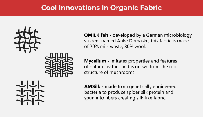 Sustainable Fashion Is Now in Season Sustainable Fashion: The Growing Trend in Global Apparel Sales