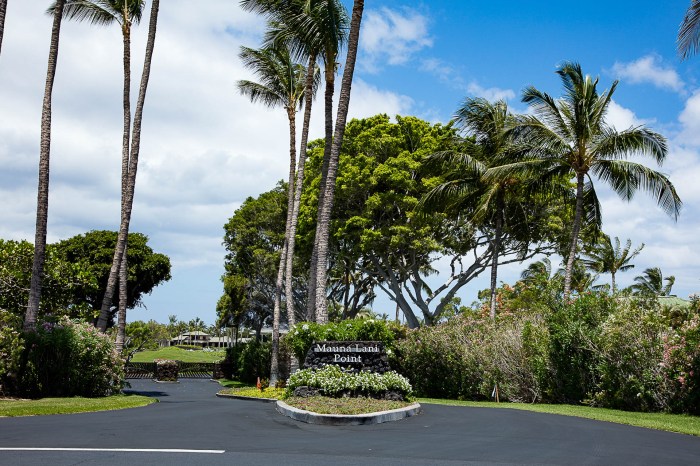 Mauna Lani Point Rentals | Big Island Villa Rentals | Paradise In Hawaii Smart TVs: The Hub of Home Entertainment Worldwide