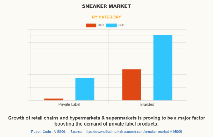Sneaker Market Size, Share, Growth Report | Forecast 2031 The Global Sneaker Market: What Drives Billions in Sales