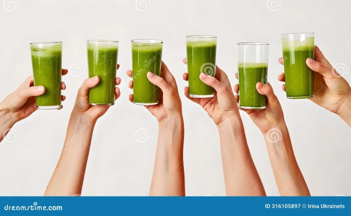 Health and Wellness Drinks in 2023 - Explore the Benefits – Visp Wellness Drinks: Beverages for Health and Vitality Globally