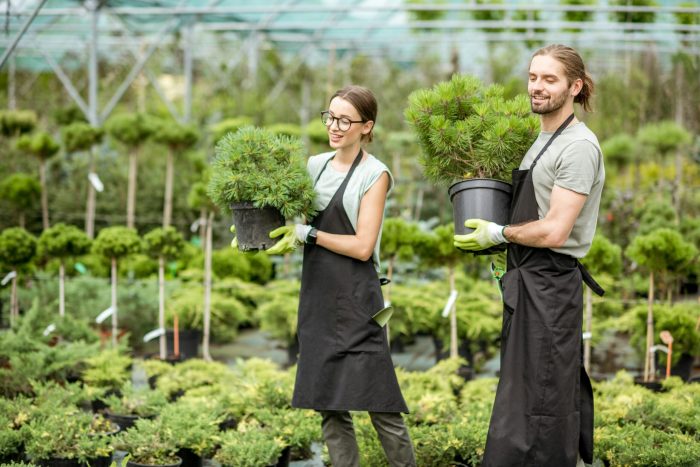 Hotel Management: Cultivating Green Spaces for Guest Experience Gardening Tools: Cultivating Green Spaces Worldwide