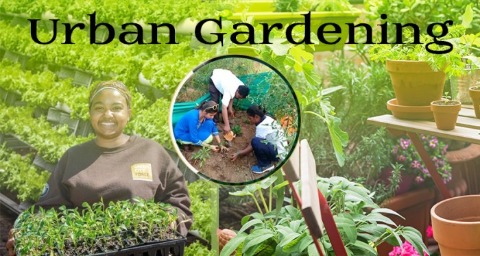 Urban Gardening: Cultivating Green Spaces in Cities Gardening Tools: Cultivating Green Spaces Worldwide